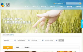 專業(yè)網(wǎng)站建設(shè)與設(shè)計服務(wù) 北京鴻睿思博科技的全面解決方案