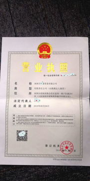 深圳外資公司注冊(cè)指南 條件與流程詳解